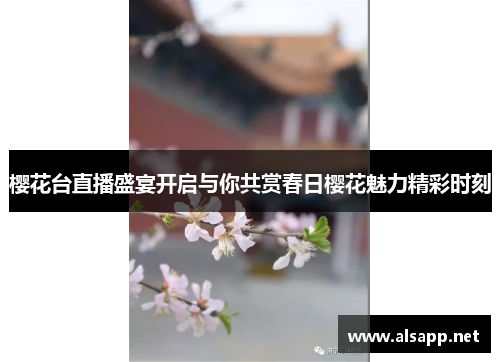 樱花台直播盛宴开启与你共赏春日樱花魅力精彩时刻