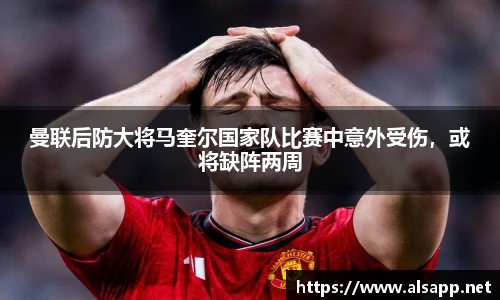 im电竞官网入口